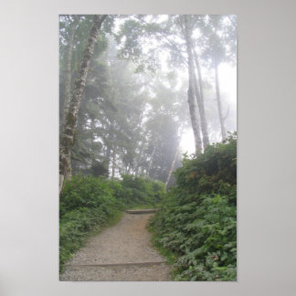 Poster Ruby Beach, Côte du Pacifique - WA