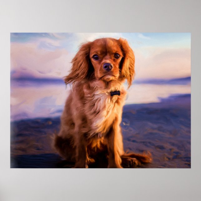 Poster Ruby Cavalier King Charles Spaniel Chien Chien Chi (Devant)
