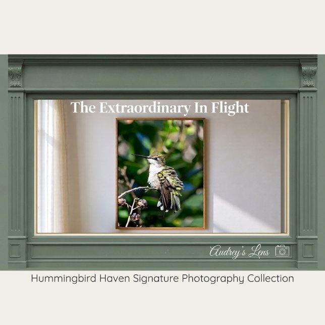 Poster Ruby-Throated Hummingbird Fine Art Photography  (Créateur téléchargé)