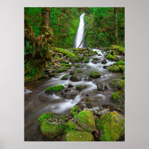 Poster Ruckel Creek Falls, Gorge du Columbia River Oregon