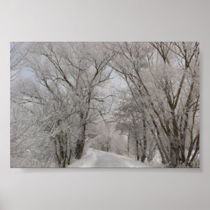 Poster Rue rayée par arbre d'hiver