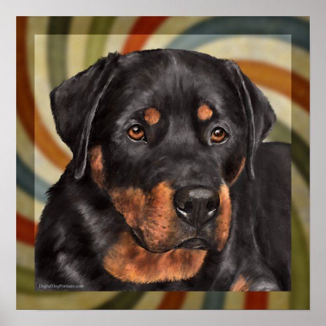 Poster ruger (Devant)