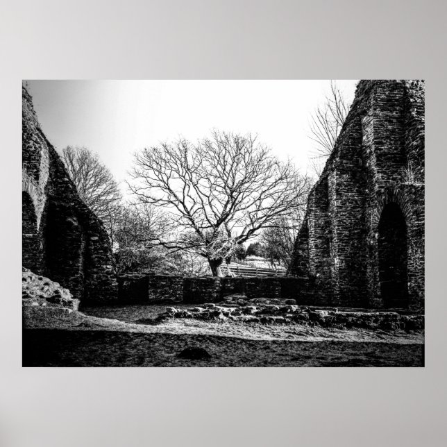 Poster Ruines (Devant)