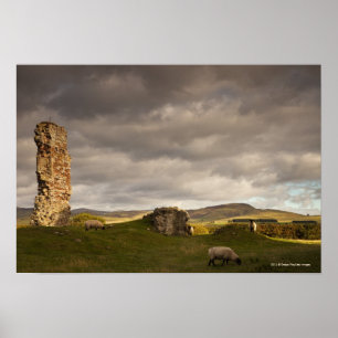 Poster Ruines de château de Cessford avec le pâturage d