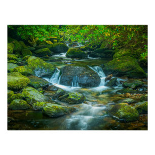 Poster Ruisseau de la forêt irlandaise – Impression photo