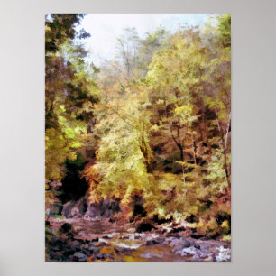 POSTER RUISSEAU FORESTIER