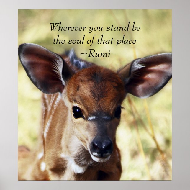 Poster Rumi Où que vous soyez (Devant)