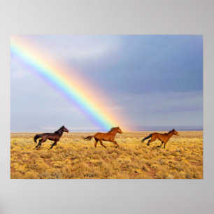 Poster Running and Rainbow