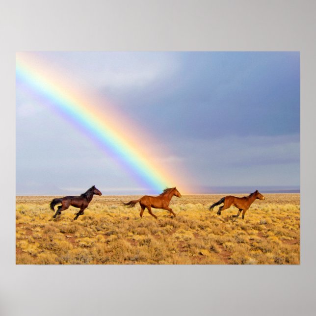 Poster Running and Rainbow (Devant)
