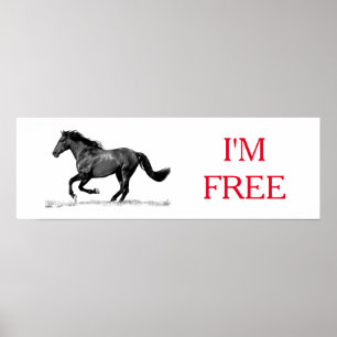 Poster Running Horse Black White I'm Free Freedom