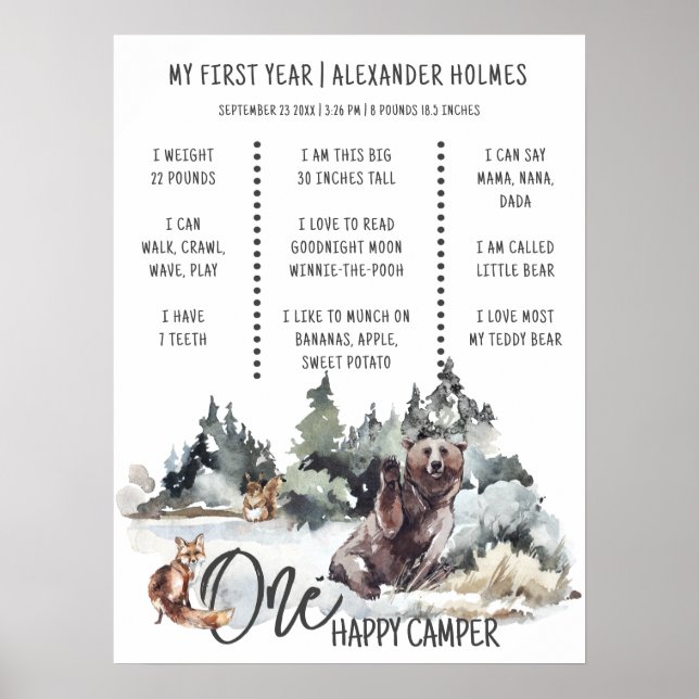 Poster Rustic Woodland One Happy Camper Milestone Board (Devant)