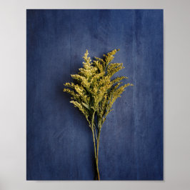 Poster Rustique Yellow Goldenrod Photo botanique