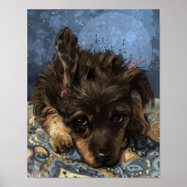 Poster Rusty le Caniche (Devant)