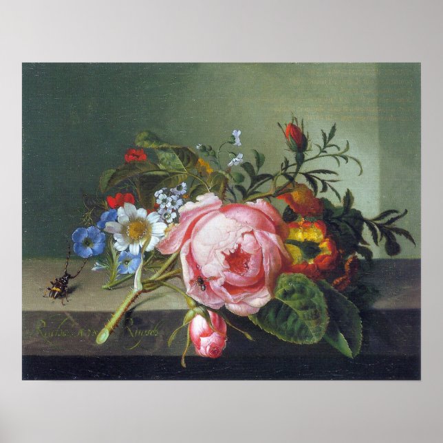 Poster Ruysch - Branche Rose Avec Kafer Et Abee (Devant)