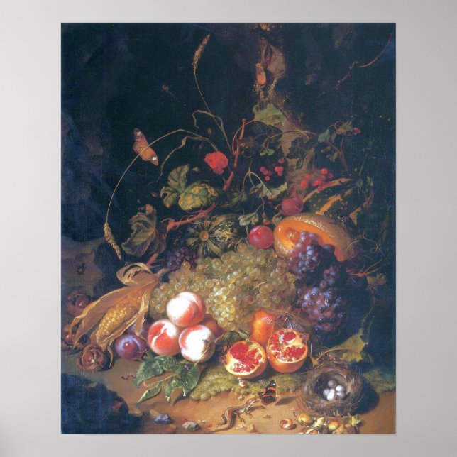Poster Ruysch - Vie Morte Avec Fruit, Un Nid, Lizard (Devant)