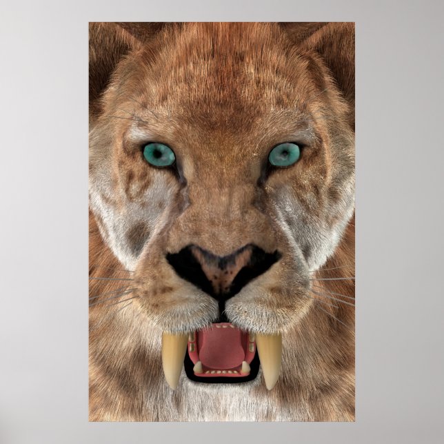 Poster Saber Toothed Ttiger ou Smilodon (Devant)