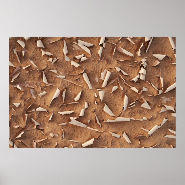 Poster Sable (Devant)