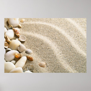 Poster Sable Avec Coquilles Et Pierres. Composition de pl