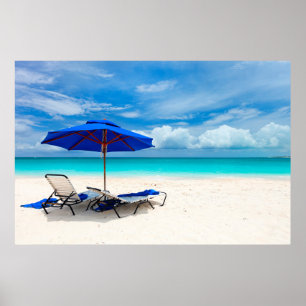 Poster Sable blanc vert