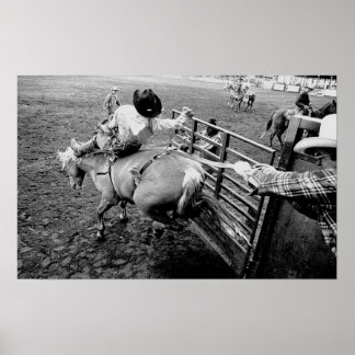 Poster Saddle Bronc Rider, imprimé noir et blanc