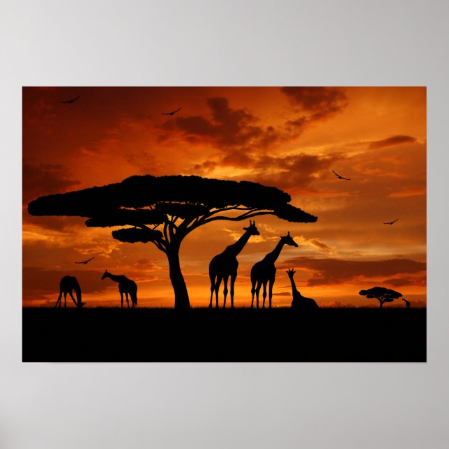 Poster Safari africain au coucher du soleil (Devant)