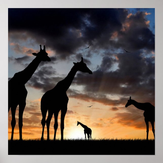 Poster safari au coucher du soleil girafe sauvage silhoue (Devant)
