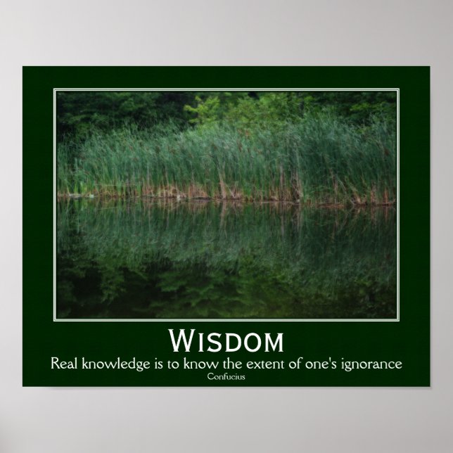 Poster Sagesse Confucius Citation Cattails Inspiration (Devant)