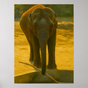 Poster Sagesse des éléphants d'or - faune majestueuse