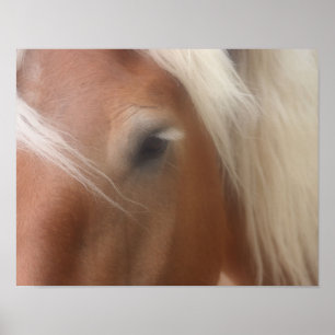 Poster Sagesse des yeux du cheval