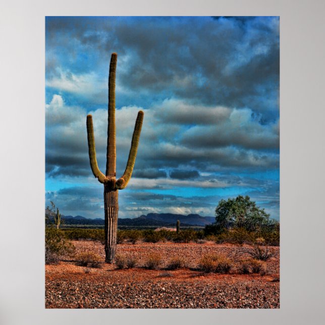 Poster Saguaro (Devant)