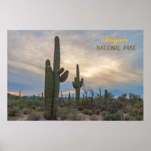 Poster Saguaro au coucher du soleil