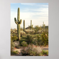 Saguaro Cactus, Arizona, USA