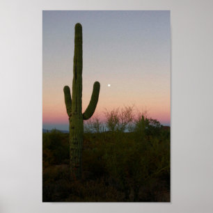Poster Saguaro Cactus coucher de soleil Arizona Photo