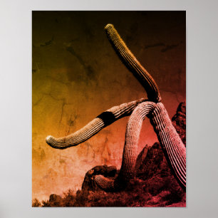 Poster Saguaro Cactus Photographie d'art en style rustiqu