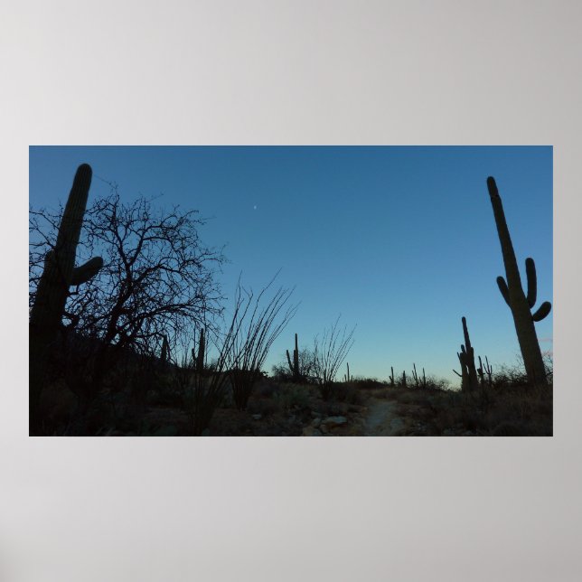 Poster Saguaro Matin au Parc national du Saguaro (Devant)