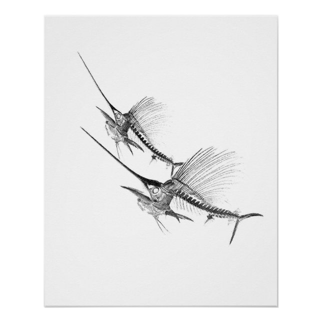 Poster Sailfish Skeleton Fisherman (Devant)