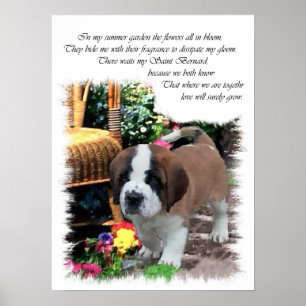 Poster Saint Bernard Art Cadeaux