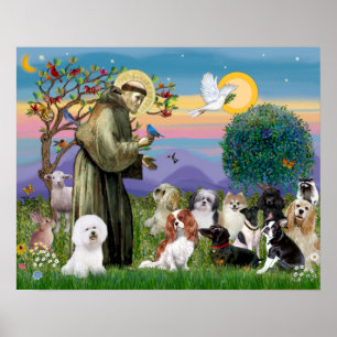 Poster Saint François avec 10 Chiens