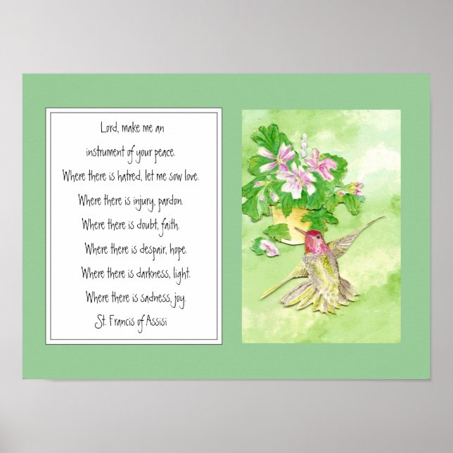 Poster Saint François d'Assise, Fleur des colibris de pri (Devant)