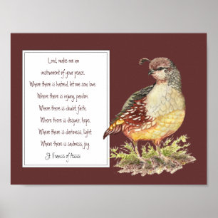 Poster Saint François d'Assise Prière California Quail Bi