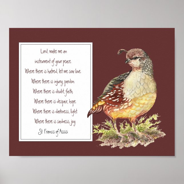 Poster Saint François d'Assise Prière California Quail Bi (Devant)