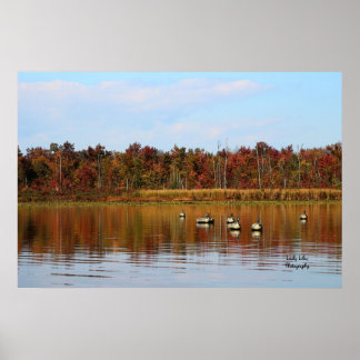 Poster Saison Canard