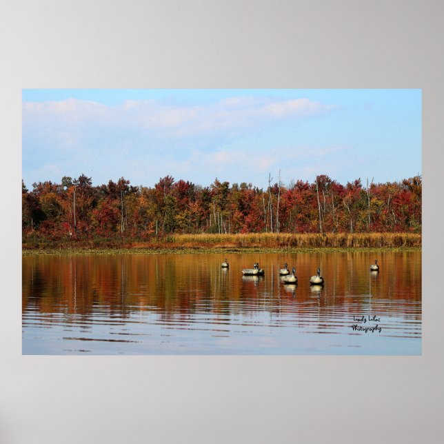 Poster Saison Canard (Devant)