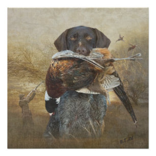 Poster Saison de chasse, Allemand À poils durs Pointer Ta