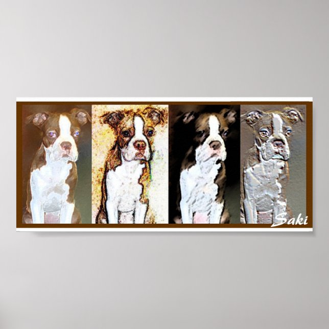 Poster saki (Devant)