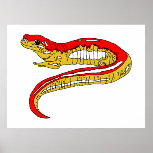 Poster Salamandre rouge et jaune