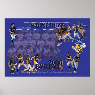 Poster Saline Buzz Baseball 2006