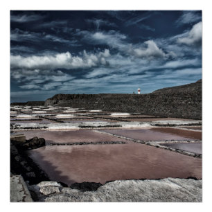 Poster Salines