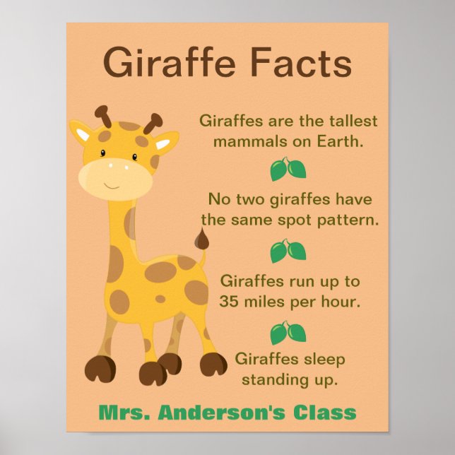 Poster Salle de classe Giraffe Facts (Devant)