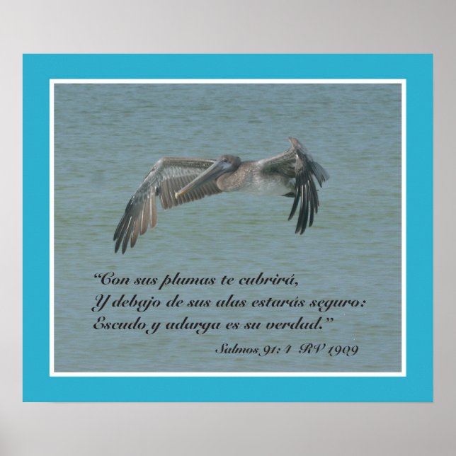 Poster Salmos 91:4 con Pelicano Volando (Cartel) (Devant)